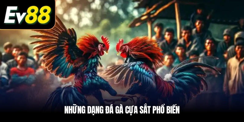 Những dạng Đá gà cựa sắt phổ biến