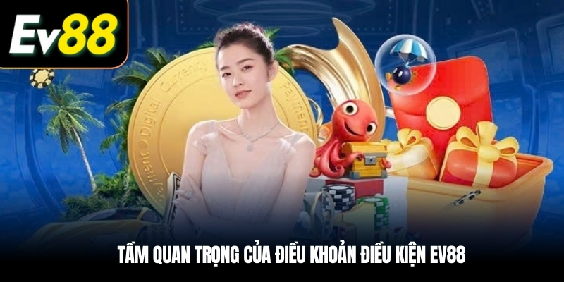 Tầm quan trọng của Điều khoản điều kiện EV88