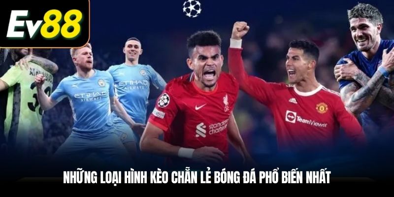 Những loại hình Kèo Chẵn Lẻ bóng đá phổ biến nhất