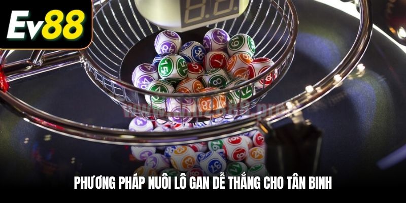 Phương pháp nuôi lô gan dễ thắng cho tân binh