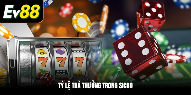 Tỷ lệ trả thưởng trong Sicbo là gì
