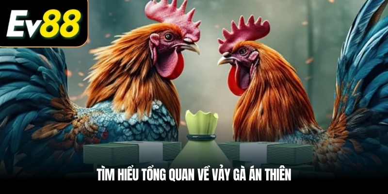 Tìm hiểu tổng quan về Vảy gà Án Thiên