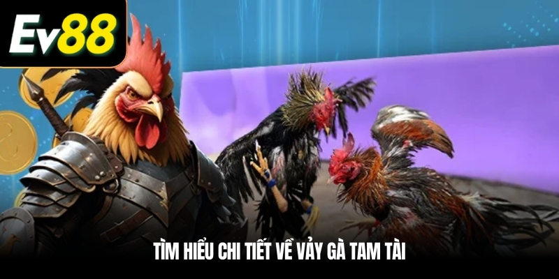 Tìm hiểu chi tiết về vảy gà tam tài