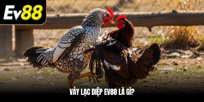 Vảy Lạc Diệp EV88 là gì?